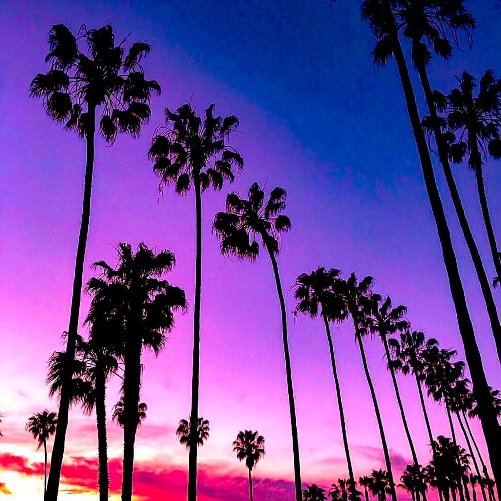 Meet your Posher, Marie